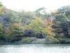 高岡古城公園 高岡紅葉 紅葉狩り情報 まいぷれ 高岡市