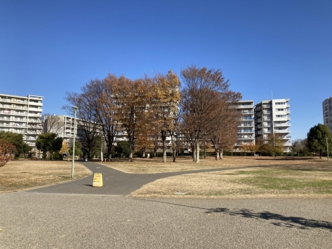 福岡中央公園