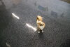 「今日のお友達」