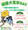 「10月17日・18日開催！秋のワールドプランツ感謝祭＆観葉植物大売出し🪴」