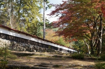 福満虚空蔵尊圓藏寺・・・柳津町<br>紅葉時期：10月下旬～11月上旬