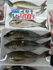 「佐賀県産かつお＆自家製さざえの煮付け・京都府産イサキのご案内」