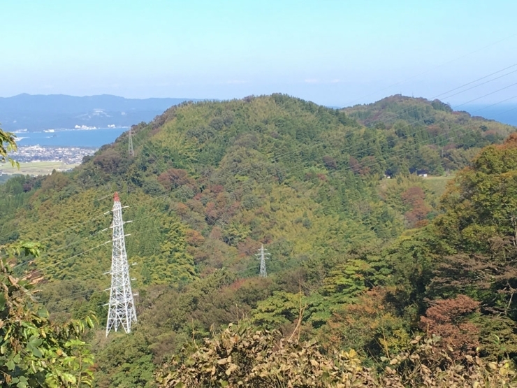 二上山全体を見ると、うっすらと色づいた印象です。<br>山の中に入ると、すでに紅葉が始まっている植物がありました。