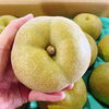 「茨城県産「ハウス幸水梨」」