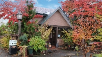 懐かしい昭和の雰囲気漂う店内。<br>店頭には沢山の焼き物が配置されていて、行った際にはそちらも鑑賞していただきたいです。