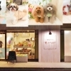 歯ブラシ専門店 みがきやすい歯ブラシ Open 清水 京都 ニューオープン リニューアルオープンのお店 下京区 東山区 まいぷれ 京都 市下京区 東山区
