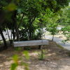 「木陰でひと休み🌳」