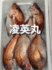 鯛「本日も営業致します」