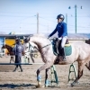 ちばシティ乗馬クラブ