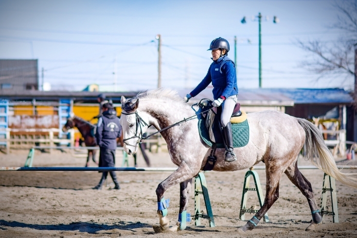 「ちばシティ乗馬クラブ」千葉市で乗馬体験、資格取得なら「ちばシティ乗馬クラブ」へ。