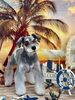サクちゃん「サンセットビーチ🏖️&サロン予約状況&ホテル予約について」
