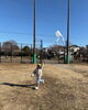 「凧上げ大会」