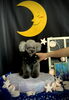 くるみちゃん「お月さまとわんこ🌛」