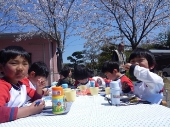 春は桜を見ながらお給食を食べます「社会福祉法人永翔会 龍翔寺こども園」