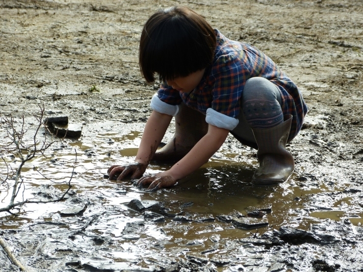 この辺の子供たちには珍しくない光景ですが…　都内ではこんなにドロドロで遊ぶのは初めて！　楽しくて楽しくて、ず～～～っとドロドロで遊んでました。（≧▽≦）