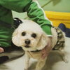 光ちゃん「今日のお友達」