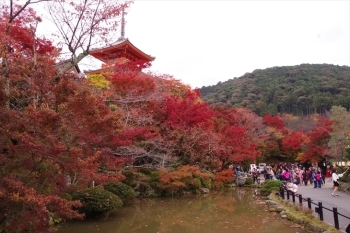 絶景スポットはもうすぐそこ（2016年11月中旬撮影）