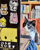 Today's momo「4月17日(金) もりのきより（小樽 ゲストハウス)」
