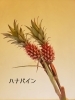 「暑い夏にはグリーンで！」
