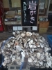 「まさに岩がき最盛期！　 【八千代店９６号】→八千代道の駅」
