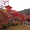 京都　紅葉穴場スポット　清水寺へのおすすめルート（徒歩の場合）