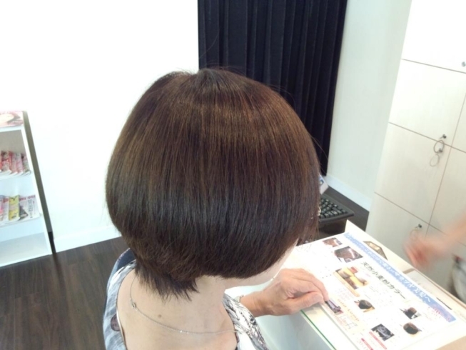 「ヘアカラー　伊丹　塚口」