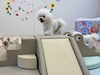 るいくん　階段かけあがり😃「ましゅまろ幼稚園🐾」