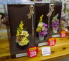 「江戸川区 瑞江のプリザーブドフラワーのお店、ブルジョンです! 御供花にプリザーブドフラワーやアーティフィシャルフラワーはいかがでしょうか?」