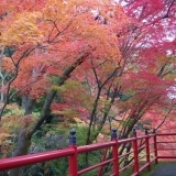 京都　紅葉穴場スポット　今熊野観音寺