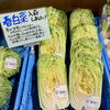 「直売所『春白菜』入荷しました！道の駅木曽福島」