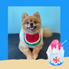 「Dog salon mofu mofu　余市町」