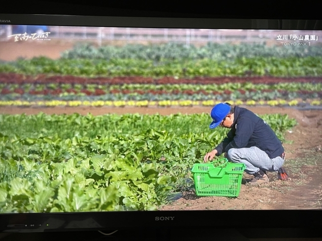 年内には完売するカラフル野菜です！「☆無事にオンエア！東京MX『至高のひととき』！」