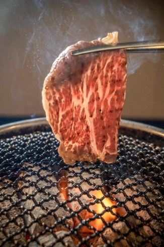 「苫小牧の路地裏の焼肉屋さんです✨🥩🐃」