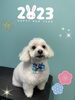 「お友達♡ Dog salin mofu mofu 余市町」