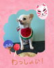 「Dog salon mofu mofu　余市町」