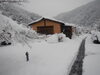 「今日の雪の様子【1/11（月祝）】（最終回)」