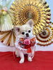絆くん「Happy New Year」