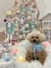 ぴのくん「MerryXmas🎄」