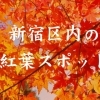 イチョウ・モミジ・カエデ！　新宿区内の紅葉スポットを紹介