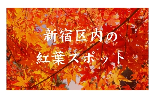 イチョウ・モミジ・カエデ！　新宿区内の紅葉スポットを紹介