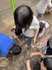 雨が降った日はどろんこ遊びをしました！「６/２０(土)【✨０歳から参加OK✨モンテッソーリ体験🌱】〈江戸川区小岩レジナ幼稚園〉」