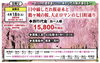 感動のしだれ桜と町並みを訪ねる旅「出発決定コースのご案内🚌【村上・胎内・新発田発】」