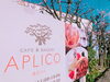 「あんずの花が咲きました♡」