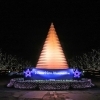 Winter Vista Illumination 2016 in 国営昭和記念公園