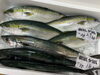 「本日鮮魚入荷いたしました。[岩牡蠣は７月から販売致します。]」