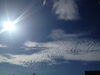 「秋の空【交野市・保育園・一時預り・月極保育】」
