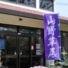 都市緑化植物園　春の山野草展！！