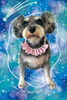 「Dog salon mofu mofu　余市町」