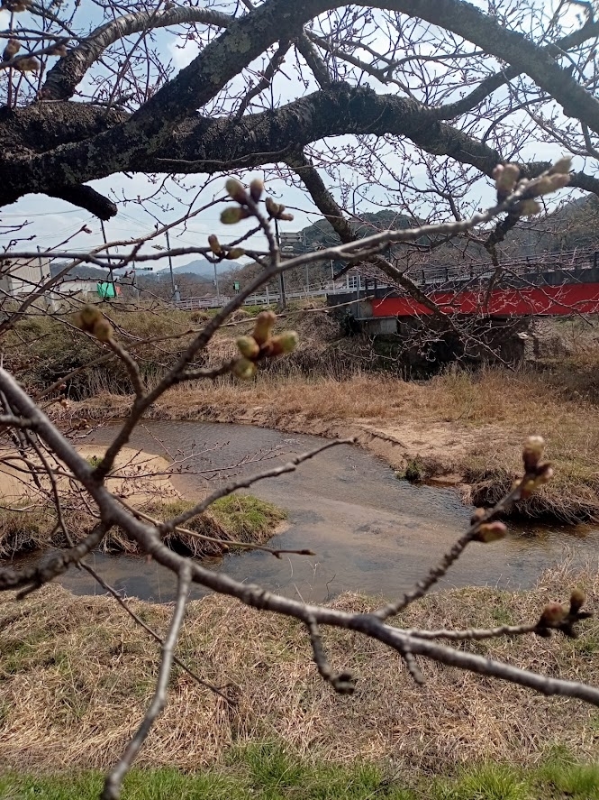 法勝寺川　南部町