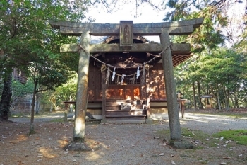 【摂社・若宮八幡宮】